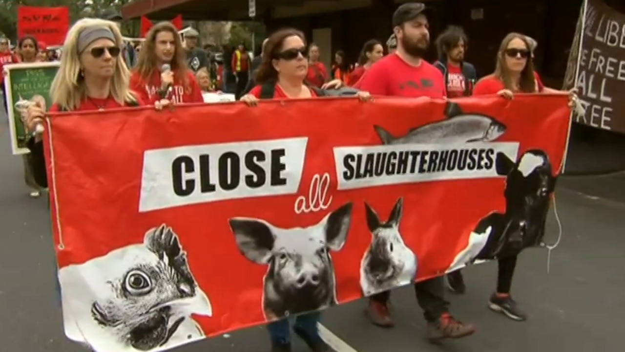 Animal rights activists stage protests across country | news.com.au