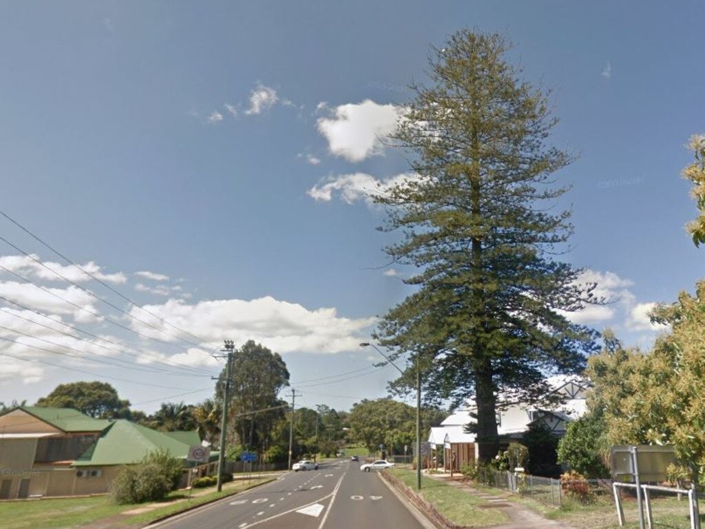 GOODBYE: The popular Norfolk Island Pine in Alstonville is set to be removed due to concerns regarding safety and the Essential Energy power network.