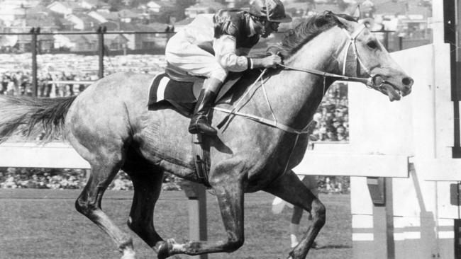 Gunsynd, the ‘Goondiwindi Grey' ridden by Roy Higgins winning the 1972 Cox Plate. Picture: News Corp