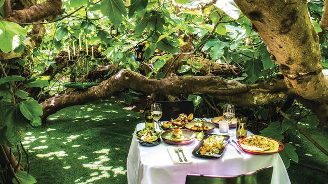 Lunching in dappled sunlight at the Enchanted Fig Tree. Picture: SATC.