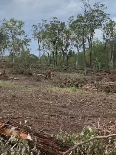 Screenshots showing the extent of the damage from Cr Peter Young's Facebook video.