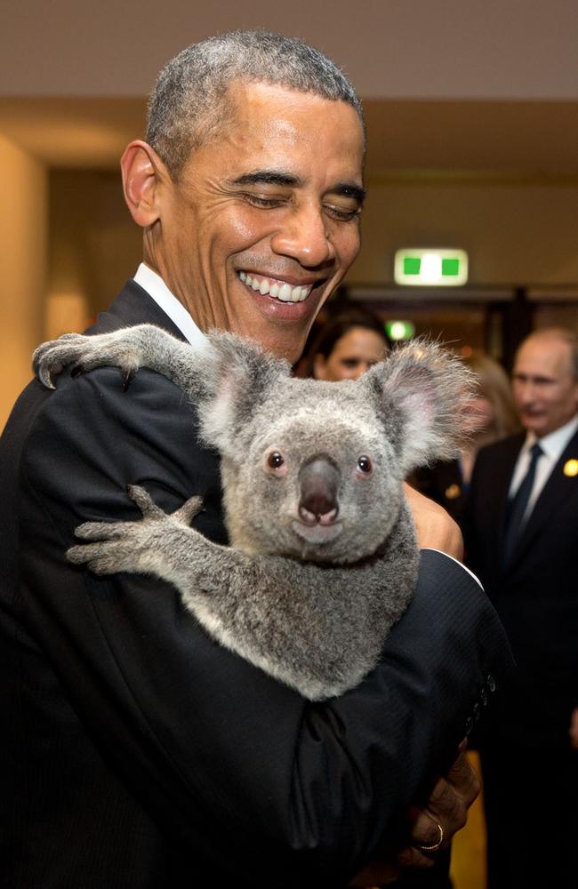 “The President holds a koala backstage prior to the G20 Welcome to Country Ceremony at the Brisbane Convention and Exhibition Center in Brisbane, Australia on November 15, 2014.” Picture: Pete Souza/The White House