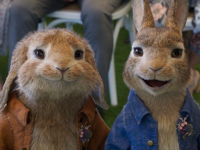PETER RABBIT™ 2, the lovable rogue is back.