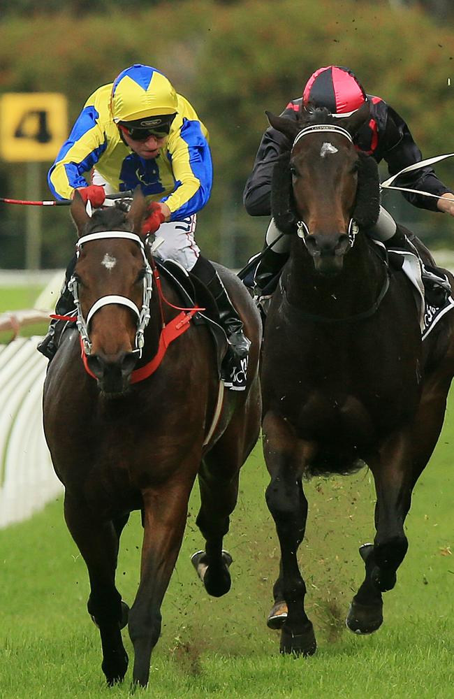 Jim Cassidy will partner Amovatio (left) at Royal Randwick on Saturday. Picture: Mark Evans.