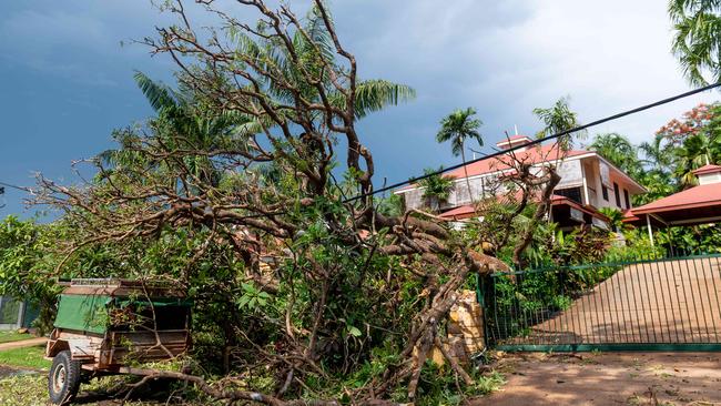 Wayne Patten, of Fannie Bay, surveys the damage to his driveway and car after the milkwood tree that had stood in his front yard since before Cyclone Tracy fell when a squall hit Darwin. Picture: Che