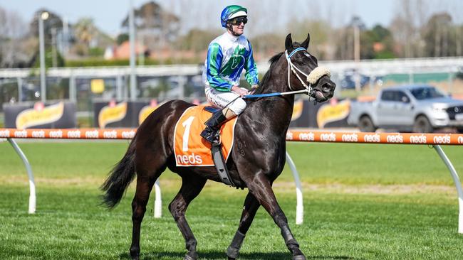 I Wish I Win ridden by Luke Nolen during an exhibition gallop after the running of the Here For The Horses Handicap at Caulfield Racecourse last month Picture: Getty Images