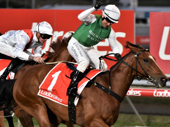 The Inevitable easily wins the Newmarket Handicap in Launceston two weeks ago. Picture: Peter Staples