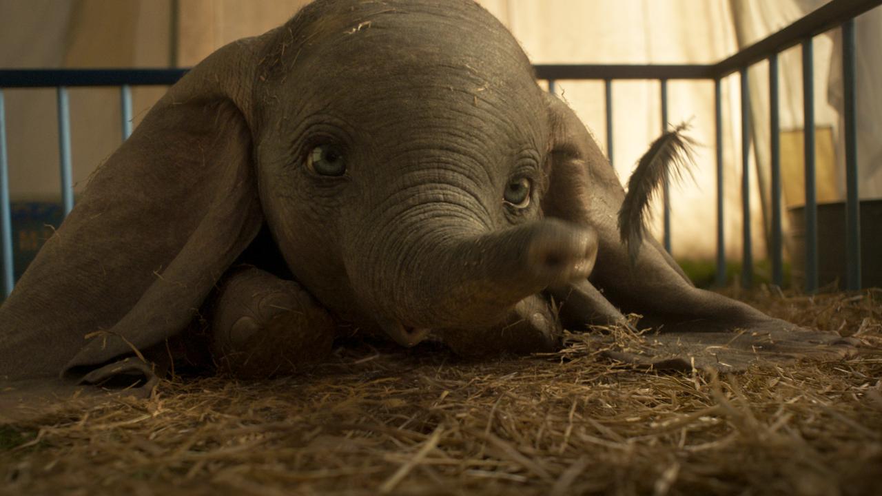 This guy. Ohmigod, so damn cute. Picture: Disney via AP