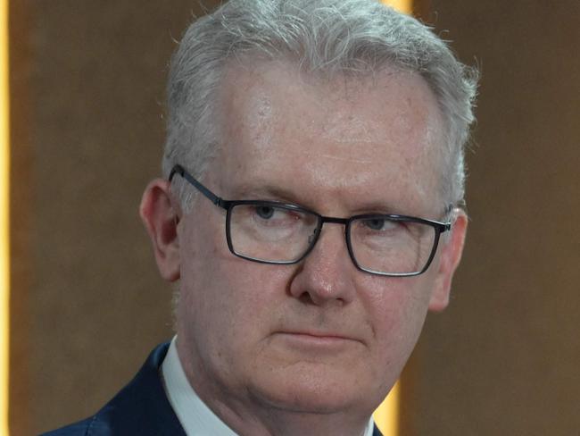 Australiaâs Home Affairs Minister Tony Burke attends a joint press conference with Indonesia's Coordinating Minister for Law, Human Rights, Immigration, and Corrections Yusril Ihza Mahendra after their meeting in Jakarta on December 3, 2024. (Photo by BAY ISMOYO / AFP)