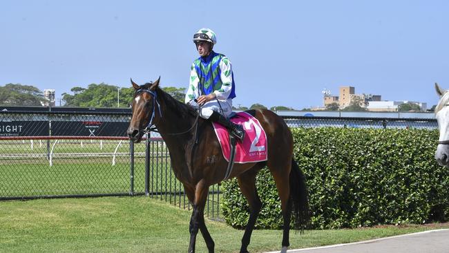 William Stanley rides three leading chances on the Beaumont. Picture: Bradley Photos