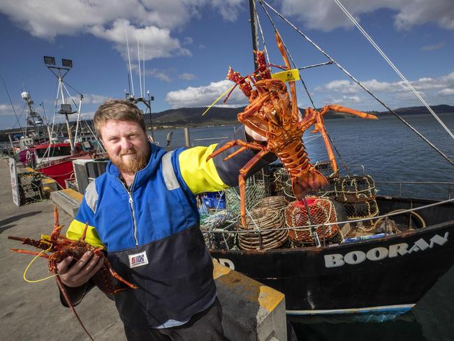 Booran skipper Jack Tatnell who has been selling crays at Margate. Picture: Chris Kidd