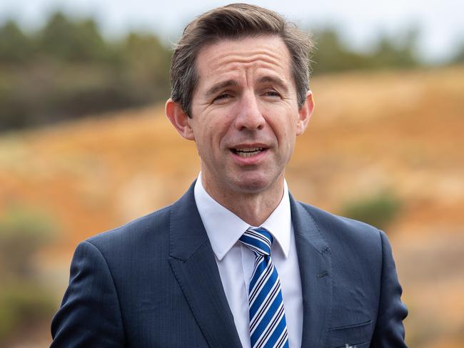 Federal Minister for Trade, Tourism and Investment Simon Birmingham speaks to media during a press conference announcing Australia's first compressed air energy storage project at Angas Zinc Mine near Strathalbyn, South Australia, Friday, February 8, 2019. (AAP Image/James Elsby) NO ARCHIVING