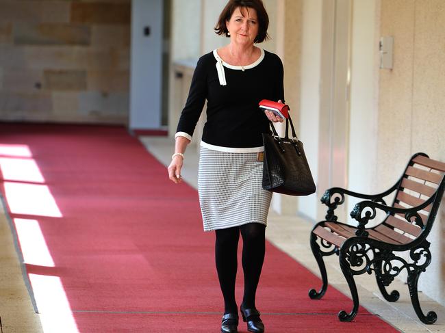 Tim Mander said current Currumbin MP Jann Stuckey was doing a good job for her electorate. (AAP image, John Gass)