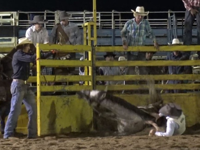 Animal Liberation Queensland expressed concerns about the number of horses falling over at Gympie's rodeo on the weekend. Photo taken from a video supplied by Animal Liberation Queensland.