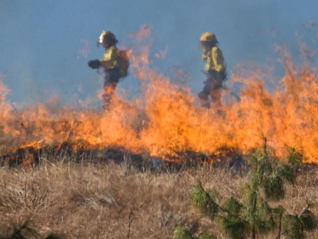 QFES firefighters have been tackling the large blaze since 1.45pm this afternoon. File Photo.