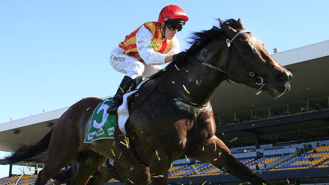 SYDNEY, AUSTRALIA - AUGUST 29: Kerrin McEvoy on Peltzer finishes second in race 5 the TAB San Domenico Stakes during Sydney Racing at Rosehill Gardens on August 29, 2020 in Sydney, Australia. (Photo by Mark Evans/Getty Images)