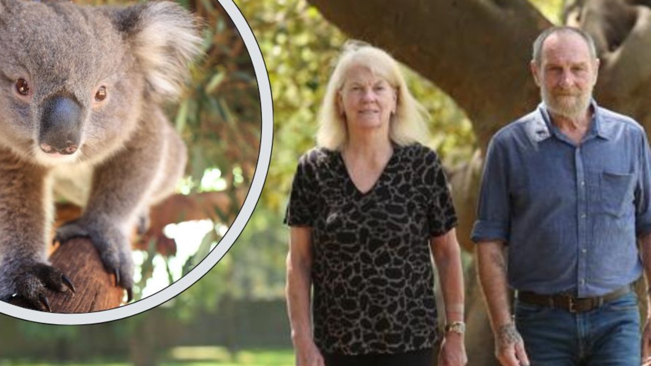 ‘Timber towns’, jobs under threat from Koala Park plans