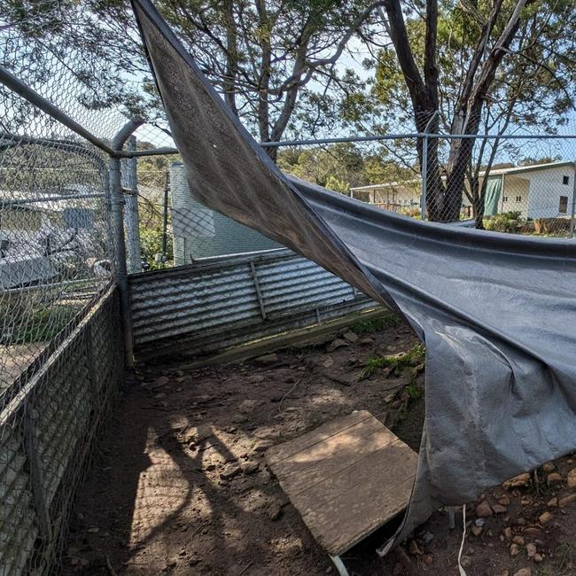 The Launceston Dogs' Home dog yards after the September 2024 storms. Picture: Dogs' Home of Tasmania.