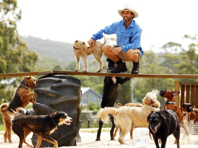 Putting his pack through their paces in the agility playground. “We bring them out of their shell, we teach them how to have fun and how to direct energy in a really positive way.” Picture: Sam Ruttyn