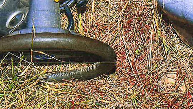 A crime scene photograph showing blood near the ride-on mower. Picture: Supplied / Brisbane Supreme Court
