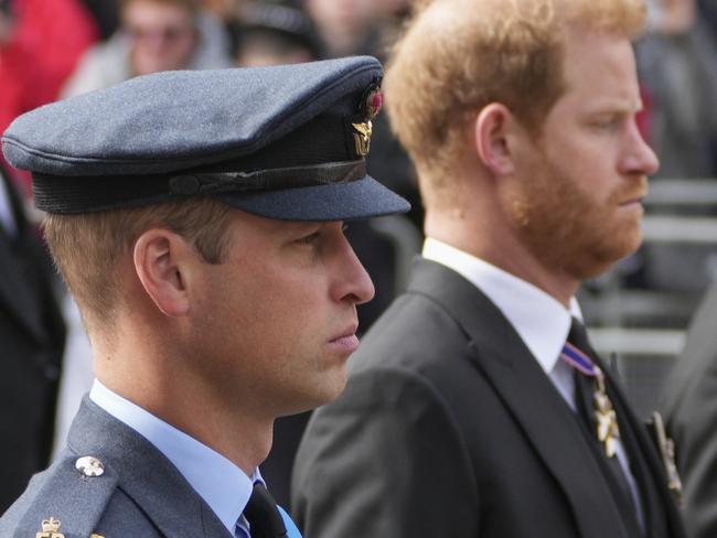 The brothers walked next to each other during the procession through the streets of London. Picture: Scott Garfitt – WPA Pool/Getty Images