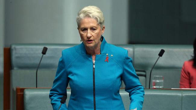 Dr Kerryn Phelps says the challenge Mr Sharma faced is a government with poor policies. Picture Gary Ramage