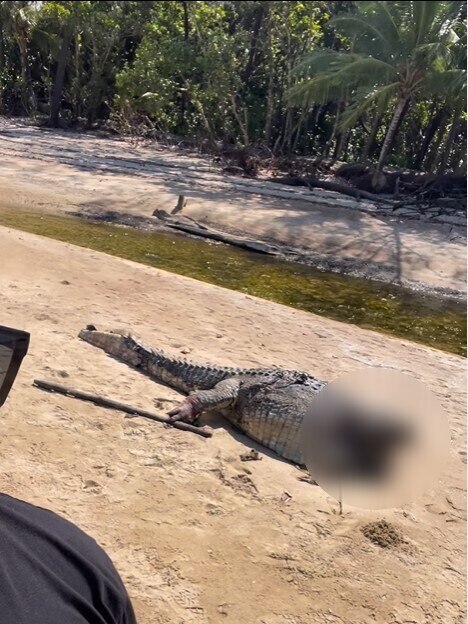 The sight of the slain animal prompted a social media outburst against those responsible. Picture: Tom Chalmers Hayes/ @crocodile_beers