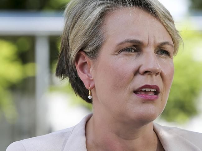 Deputy Leader of the Opposition Tanya Plibersek speaks to media outside Sunnybank Hills State School, Brisbane, Thursday, January 25, 2018.(AAP Image/Glenn Hunt) NO ARCHIVING