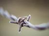 Harsh frost in drought zones, waterlogging to the north