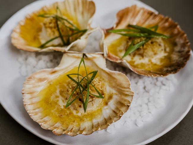 Manu Feildel's Hervey Bay scallops. Picture: Supplied