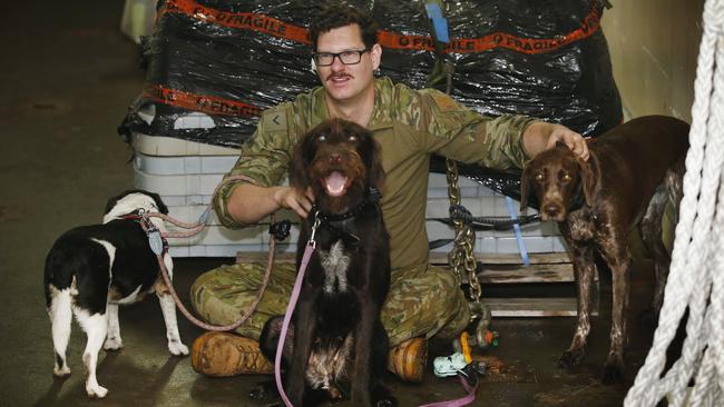 On board the HMAS Choules, dogs are cared for by crew in an enclosed area. Picture: David Caird