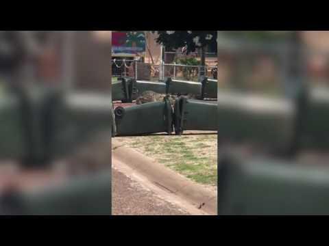 AU QLD:    Karumba Locals Construct Wheelie Bin Barricade to Hold Crocodile   December 31