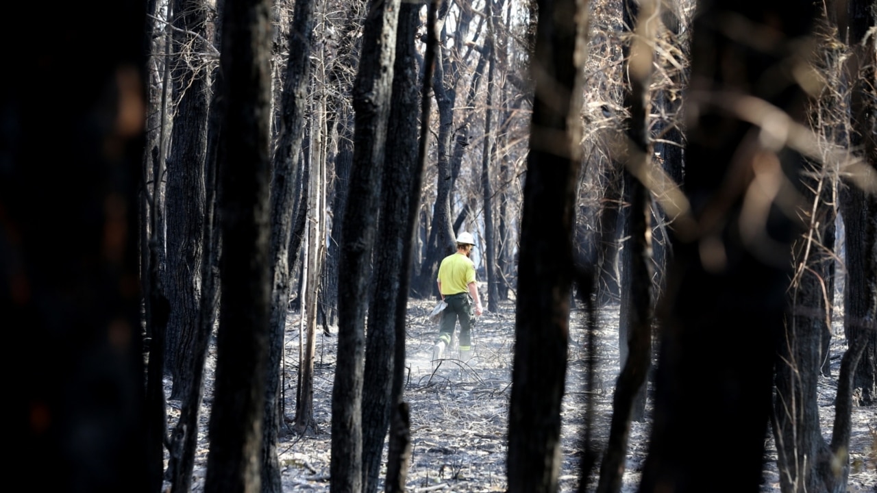 Currowan blaze extinguished 