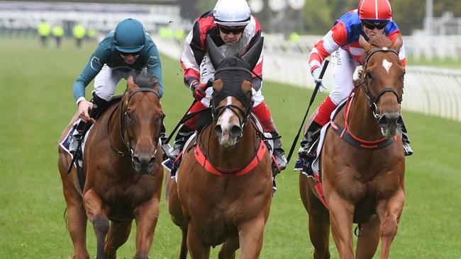 Jockey Dean Yendall rides Halvorsen to victory at Flemington on December 14.