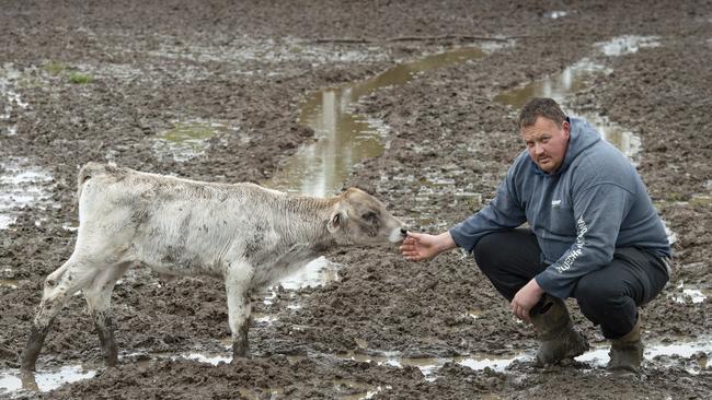 Dairy farmer Ben Govett from Tandarra picture among flooding on his farm. Picture: Zoe Phillips