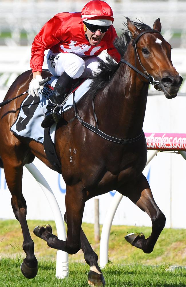 Noel Callow puts the throttle down on Thrillster. Picture: Getty Images