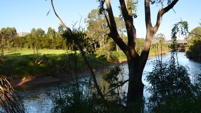 Preliminary testing on perch, mullet and eel caught in Bremer River (pictured) and Warrill Creek returned high levels of PFAS.