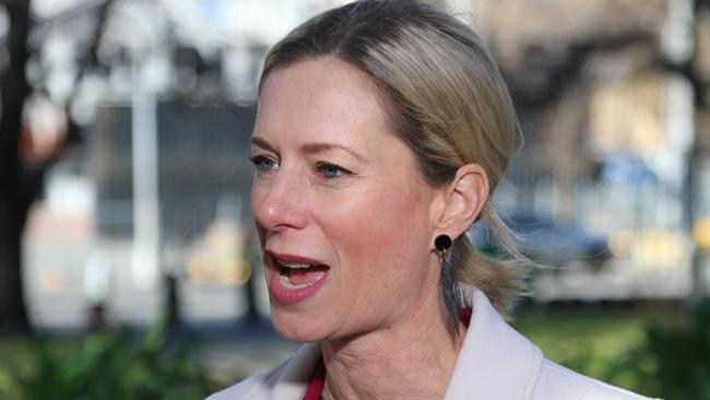 Labor leader Rebecca white speaks to the media on Parliament Lawns in Hobart on Thursday, June 1, 2023.