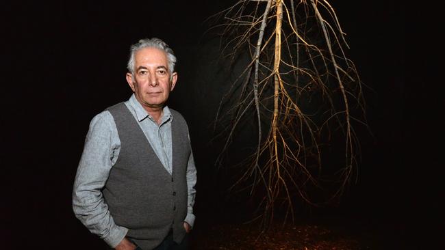 After Rain: Contemporary artist Hossein Valamanesh unveils his sculptural installation at the Bundaberg Regional Art Gallery in 2014. Photo: Zach Hogg / NewsMail