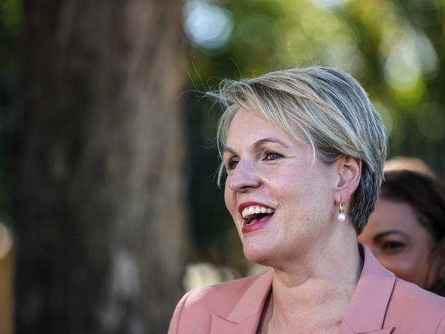 New Federal Environment Minister Tanya Plibersek is yet to make a decision over the Tarkine mine tailings dam. Picture: Colin Murty