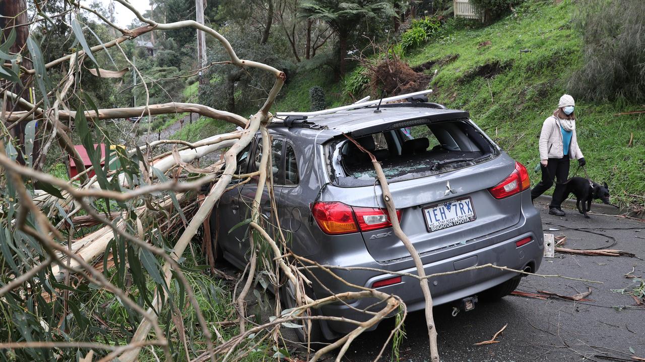 Koala St in Belgrave was hit hard in Thursday’s wild weather in Melbourne. Picture: David Crosling