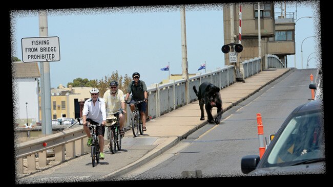 Watch out cyclists, there’s a ghostly panther out for blood. Picture digitally manipulated.