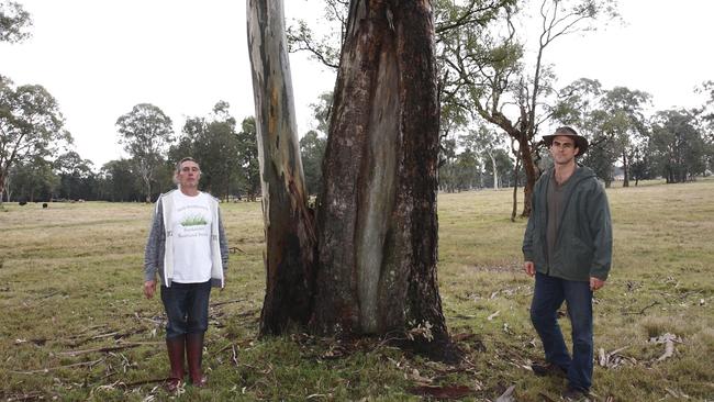 Bankstown Bushland Society members Chris Brogan and Paul Wynn with an Aboriginal scar tree at Riverlands Golf Course in Milperra.