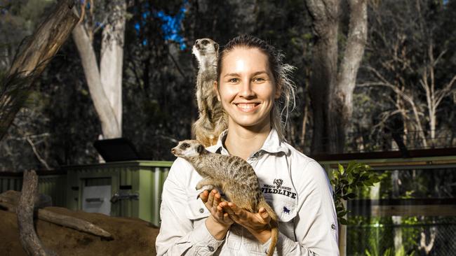 Paradise Country's Lauren Mousley with a meerkat. Picture: Nigel Hallett