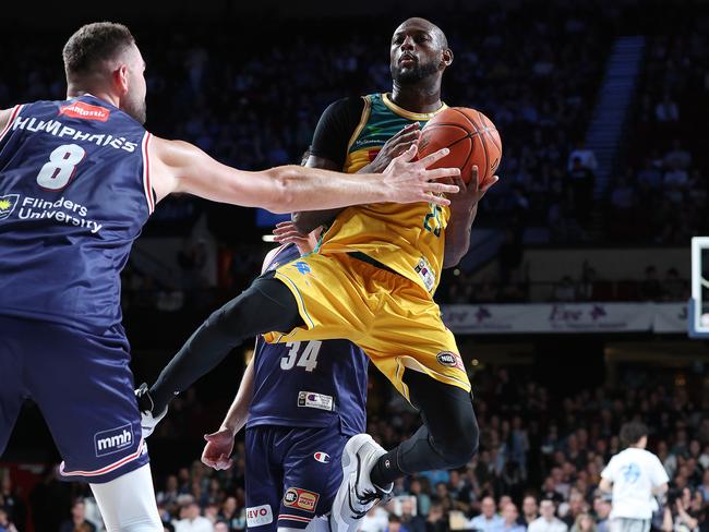 JackJumper Milton Doyle in action against Adelaide. (Photo by Sarah Reed/Getty Images)