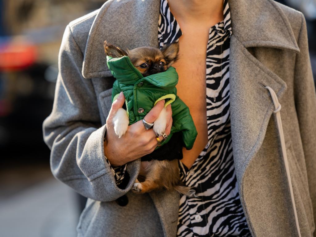A guest wearing a collared, green puffer jacket is escorted to Milan Fashion Week. Picture: Christian Vierig/Getty Images
