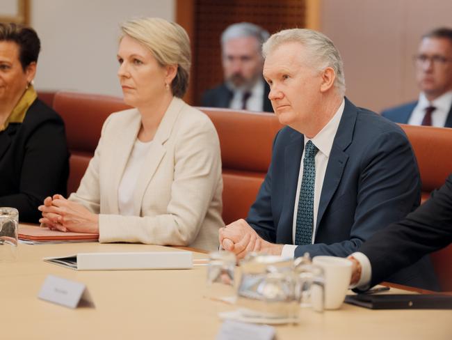 CANBERRA, AUSTRALIA - NewsWire Photos - 29 JULY, 2024: Australian Prime Minister Anthony Albanese holds a Full Ministry Meeting inside the Cabinet Room at Parliament House in Canberra. Pictured are Tanya Plibersek (L) and Tony Burke (R). Picture: NewsWire / David Beach