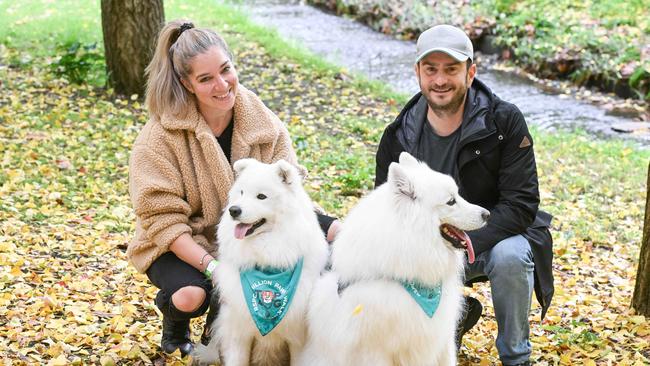 Million Paws Walk at Adelaide Botanic Gardens. Picture: Brenton Edwards