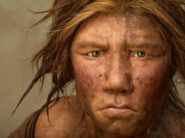 Neanderthal Wilma,was created using 43,000-year-old bones.Neanderthal IMAGES ARE FOR YOUR ONE-TIME EXCLUSIVE USE ONLY FOR MEDIA PROMOTION OF THE OCTOBER 2008 ISSUE OF NATIONAL GEOGRAPHIC MAGAZINE. NO SALES, NO TRANSFERS.Mandatory credit: Photo by Joe McNally ?2008 National Geographic