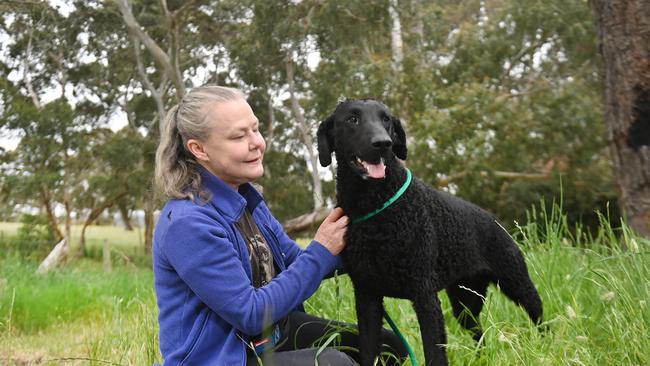 Ruth Bell of "Remarkable Behaviour'' with curly coated retriever, Toppi who is now happy and settled, aged 14 months. Picture: Keryn Stevens